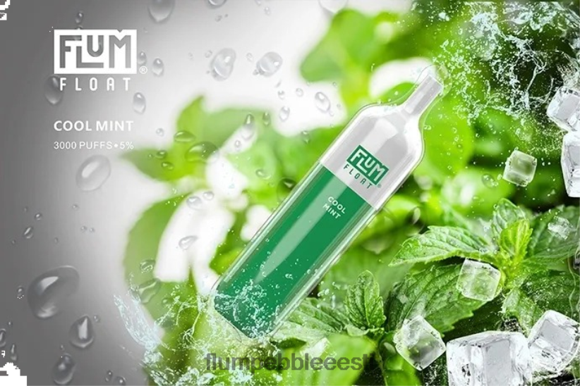 FLUM FLOAT 3000 pahvi lahe piparmünt - Flum Pebble Flavors H02TXF25