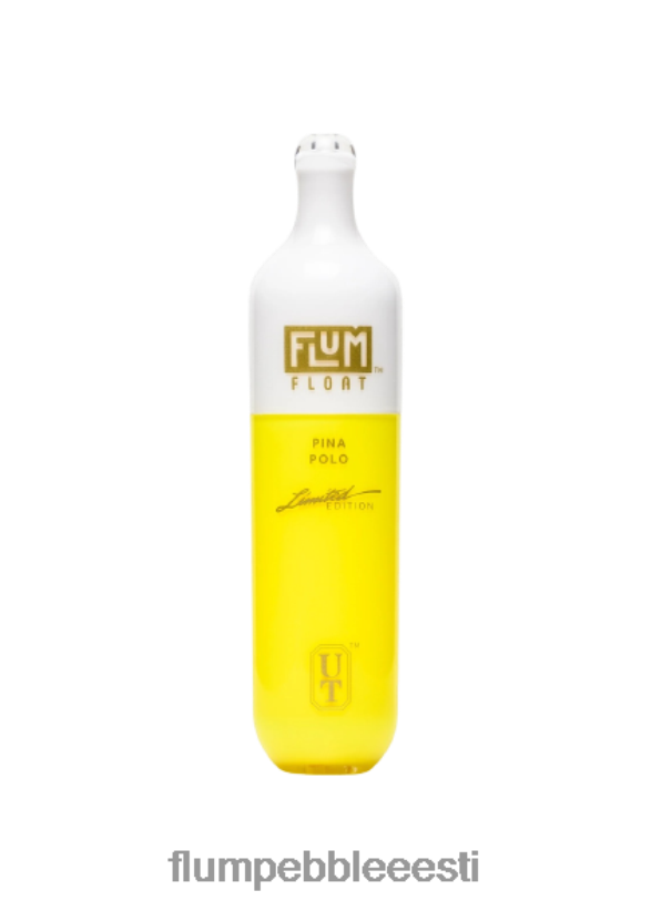 FLUM FLOAT 3000 pahvi pina polo - Flum Pebble Flavors Ranked H02TXF64