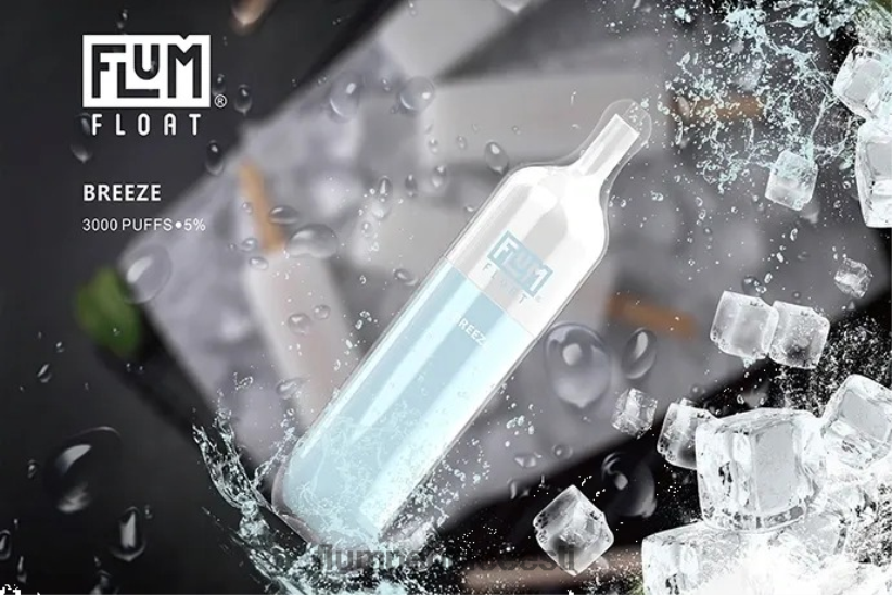 FLUM FLOAT 3000 pahvi tuul - Flum Float Vape Near Me H02TXF19