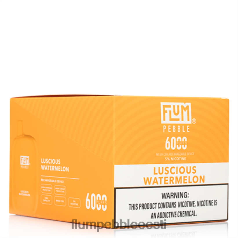 FLUM PEBBLES 6000 pahvi 10 pakki maitsev arbuus - Flum Pebble Eesti H02TXF51