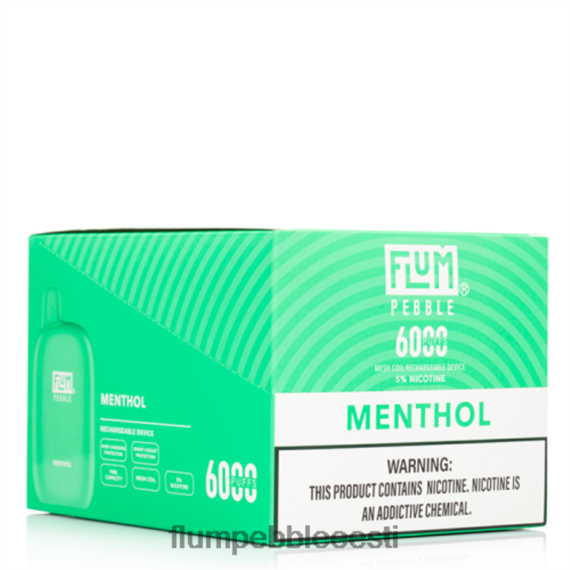 FLUM PEBBLES 6000 pahvi 10 pakki mentool - Flum Float Flavors H02TXF58