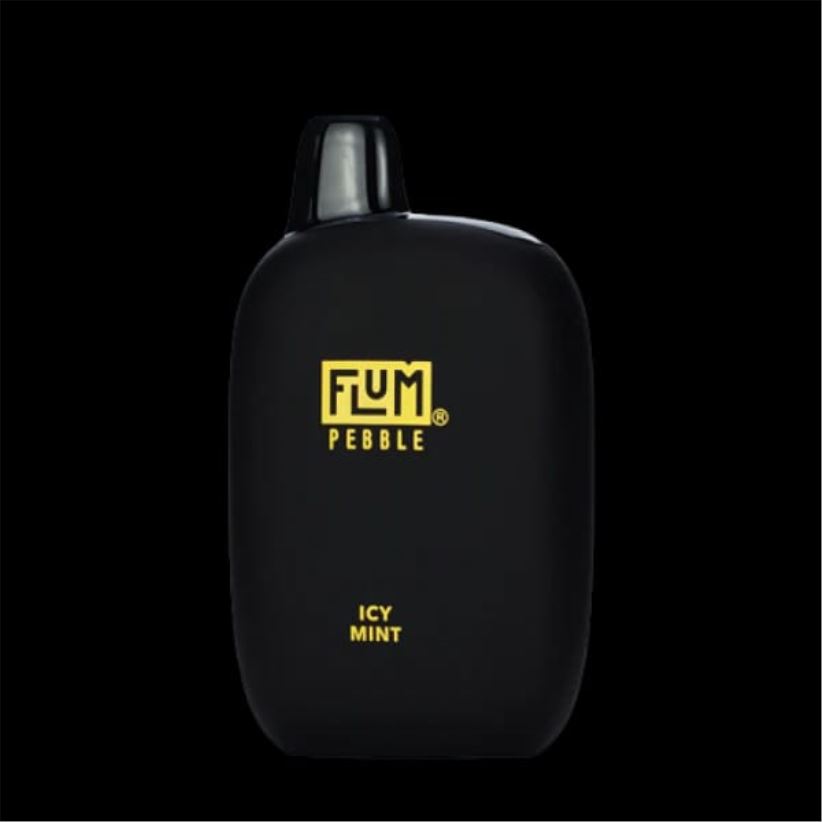 FLUM PEBBLES 6000 pahvi jäine piparmünt - Flum Float Vape Near Me H02TXF49