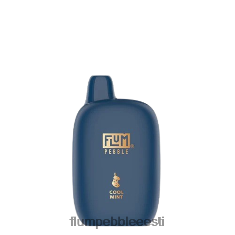 FLUM PEBBLES 6000 pahvi (jõuluväljaanne) lahe piparmünt - Flum Pebble Flavors Ranked H02TXF34