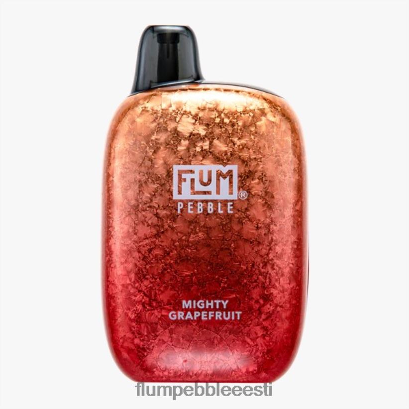 FLUM PEBBLES 6000 pahvi võimas greip - Flum Float Flavors H02TXF38